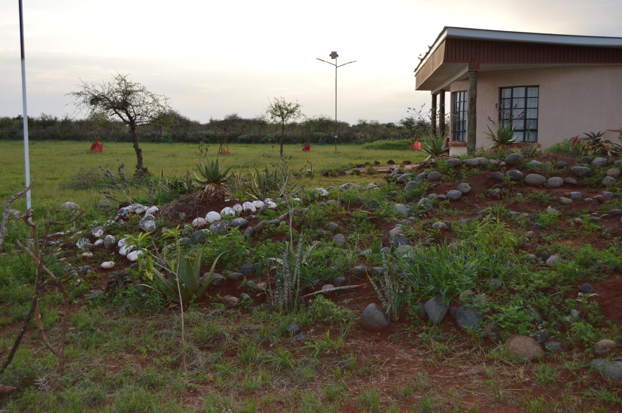 Wild Amboseli Ndovu Cottage. Exteriör bild