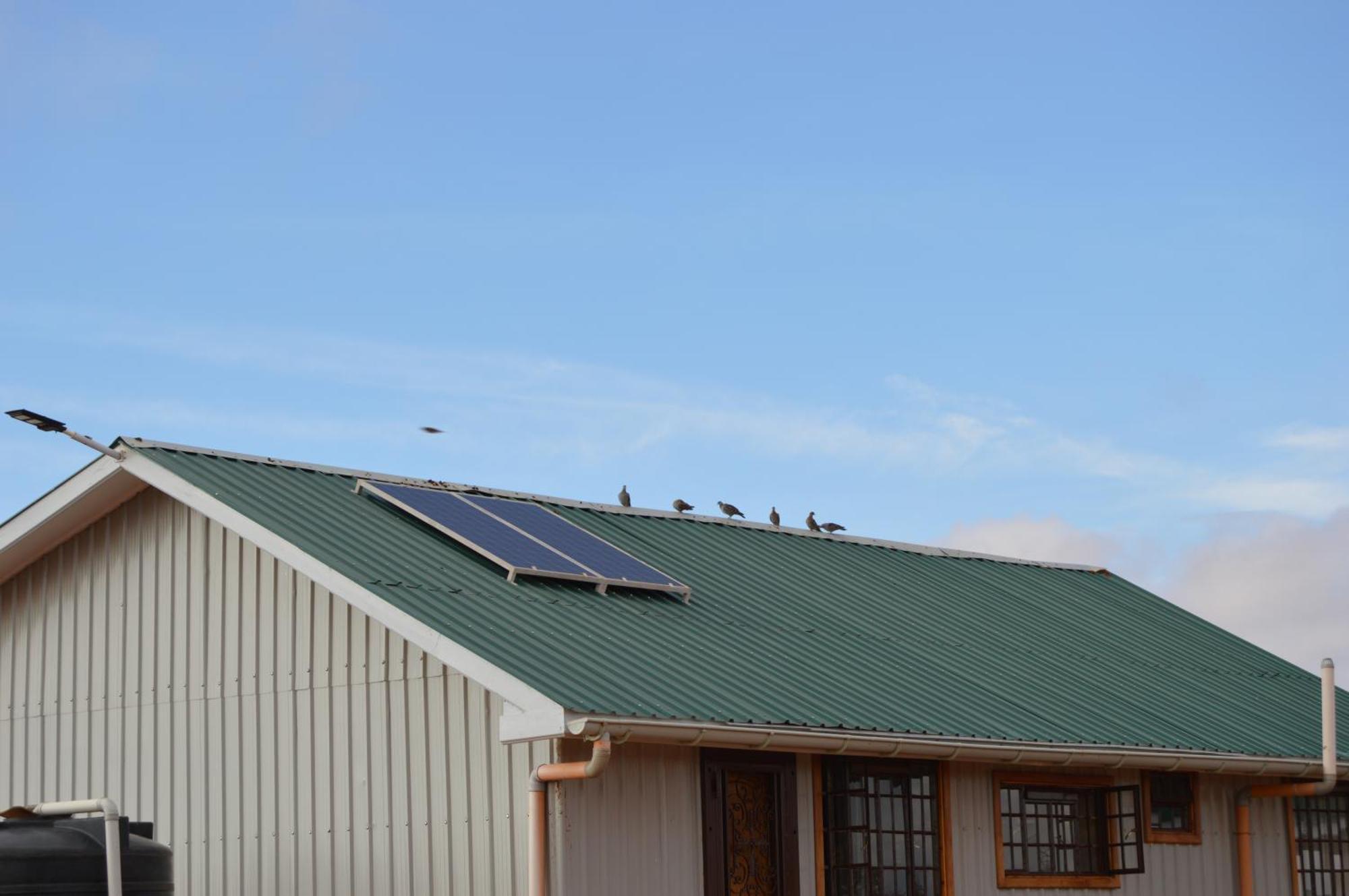 Wild Amboseli Ndovu Cottage. Exteriör bild